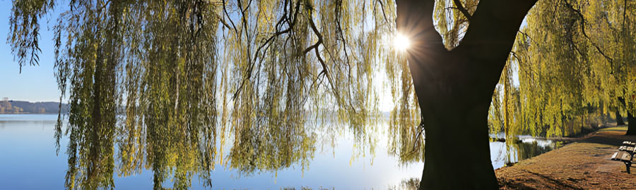 Schöner Blick auf einen See